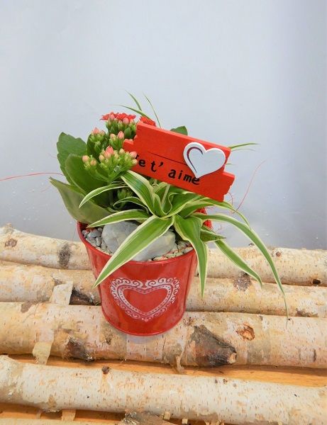 OFFRE ST-VALENTIN 13