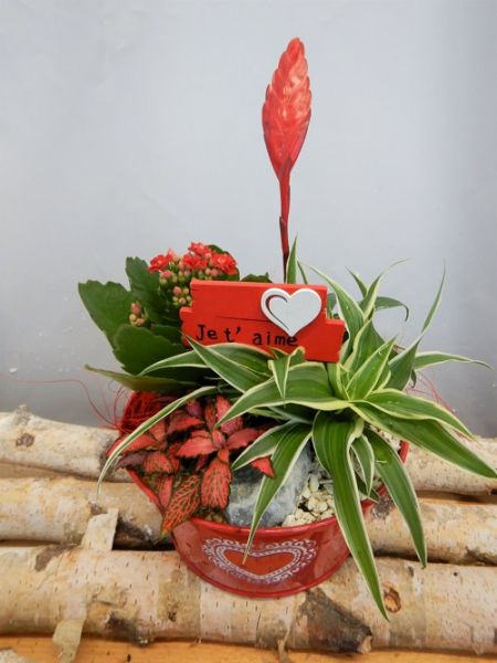 OFFRE ST-VALENTIN 14