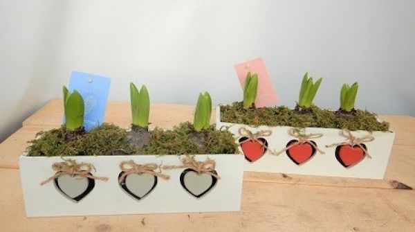 O-HYACINTHUS - CAISSETTE 3 COEUR