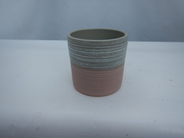 21JC1045-PK CP ROSE