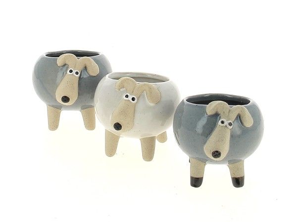 22DL1124 CP MOUTONS ASS