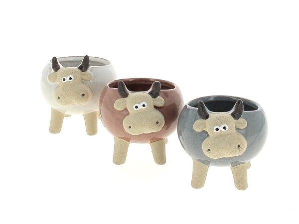 22DL1127 CP VACHES ASS