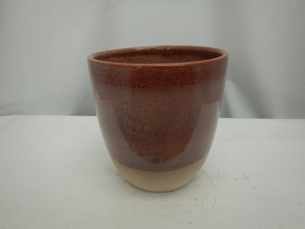 22NO1003-PK CP FARO ROSE