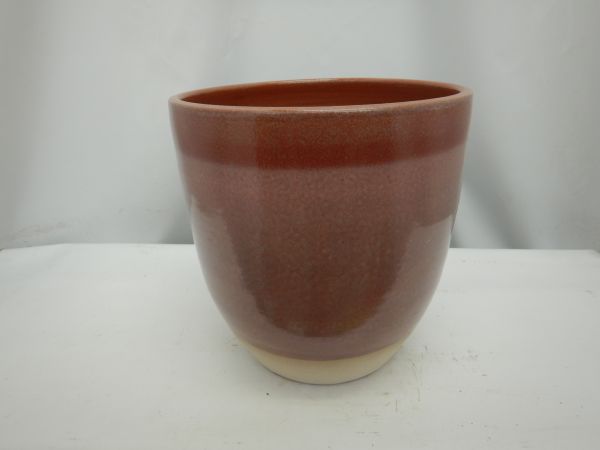 22NO1004-PK CP FARO ROSE