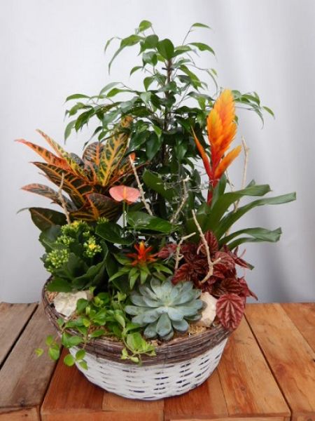 TERRINE JARDIN N0 3