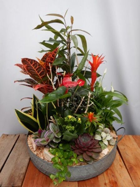 TERRINE JARDIN N0 4