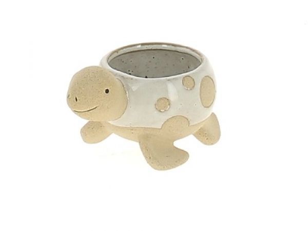 21LU1023-B CP TORTUE BLANC