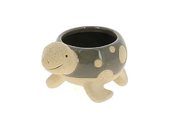 21LU1023-GRY CP TORTUE GRIS