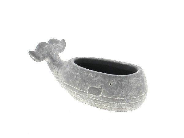 22CCP1022 BALEINE CIMENT GRIS