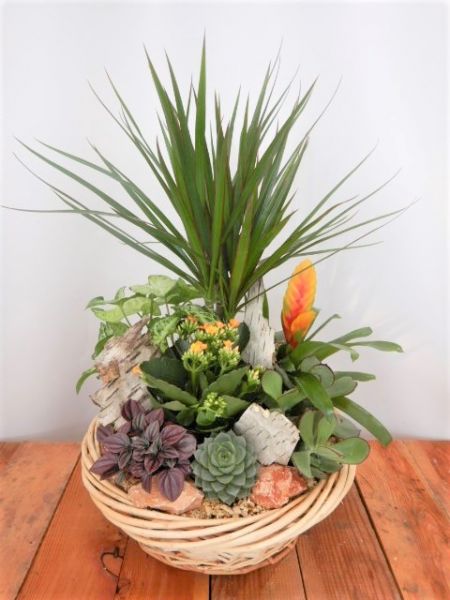 TERRINE JARDIN N0 1