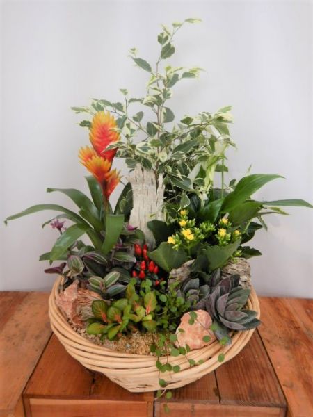 TERRINE JARDIN N0 2