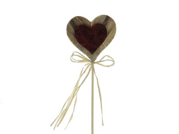 19AY2044- PIC COEUR