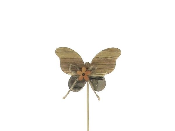 22AY1035 PIC PAPILLON