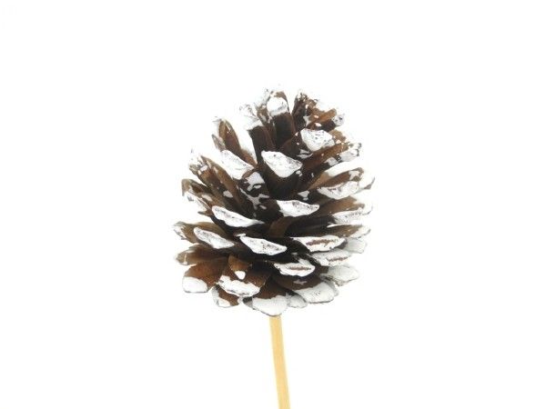 16WS2024-B PIC POMME DE PIN PAILLETTE BLANC