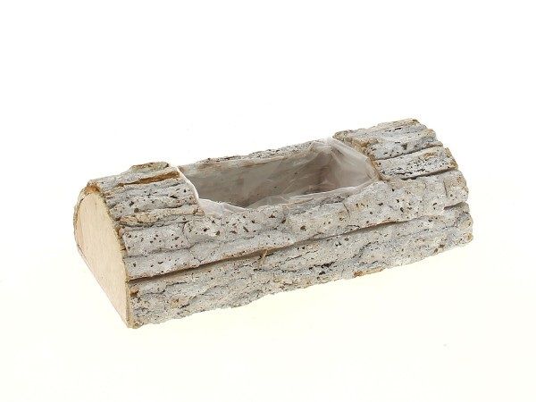 19LY2005 BUCHE BOIS BLANCHI