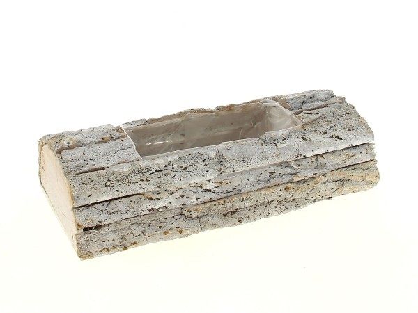 19LY2006 BUCHE BOIS BLANCHI