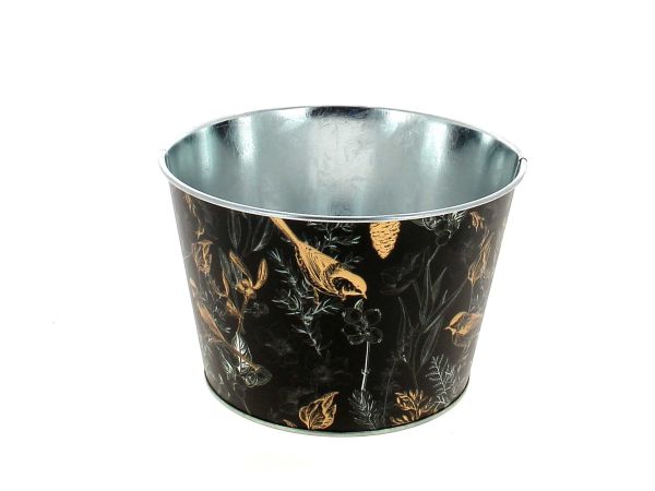 24HC2021-N COUPE OISEAU NOIR