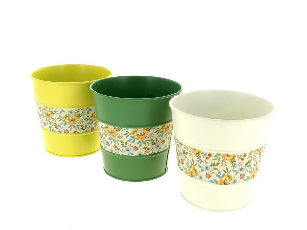 25NG1038-A4 CP PHALAENO DECO FLEURS