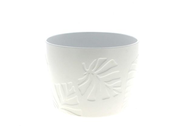 25AS1000-B CP PALM BLANC
