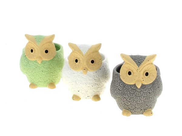 25DL1146-A3 CP HIBOU