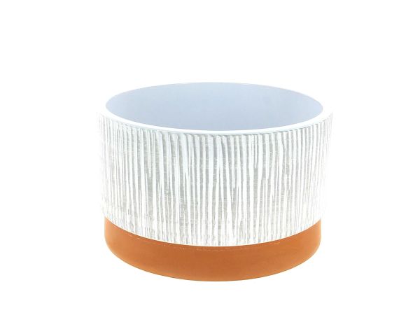 25JC1027-B COUPE STRIEE BLANCHE