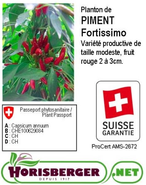 CAPSICUM CHINENSE/PIMENT