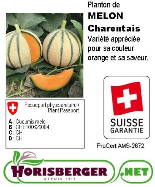 CUCUMIS MELO/MELON