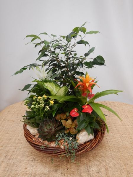 TERRINE JARDIN N0 2