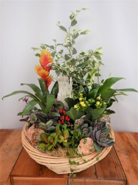 TERRINE JARDIN N0 3