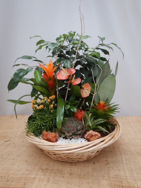 TERRINE JARDIN N0 4