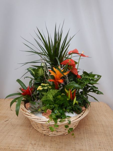 TERRINE JARDIN N0 5
