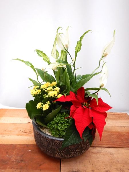 TERRINE TRADITION n°03