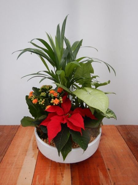 TERRINE TRADITION n°04