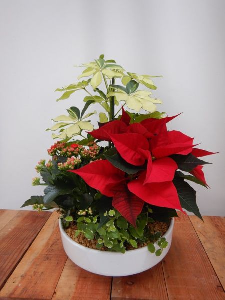 TERRINE TRADITION n°05