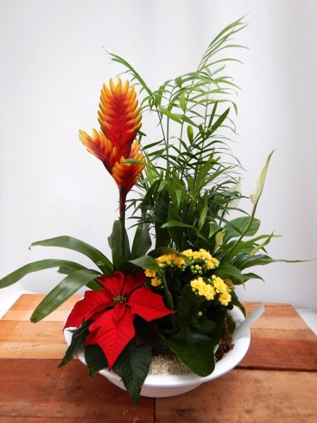 TERRINE TRADITION n°06