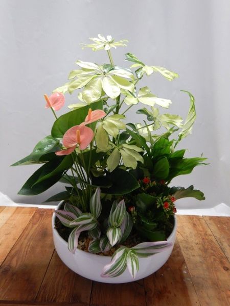 TERRINE TRADITION n°07