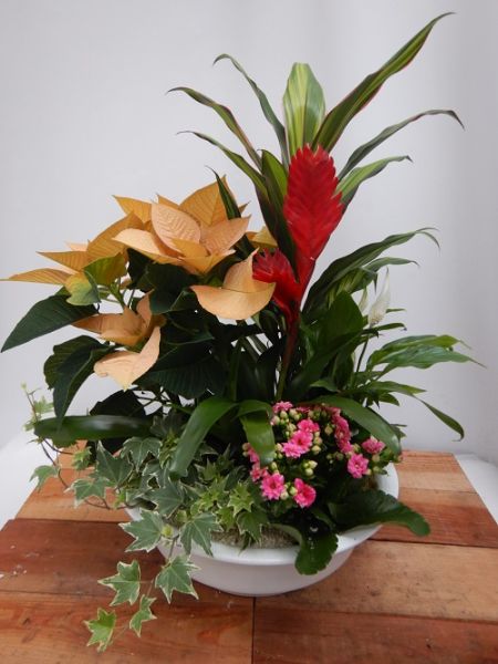 TERRINE TRADITION n°08