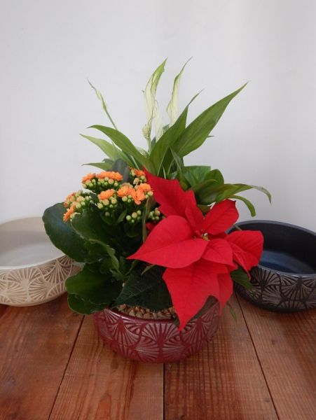 TERRINE TRADITION n°02