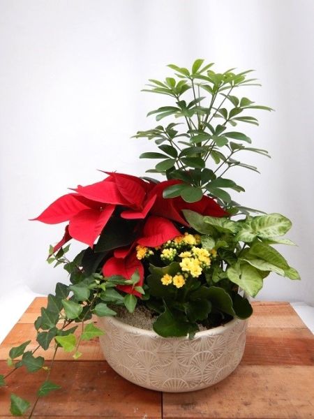 TERRINE TRADITION n°07