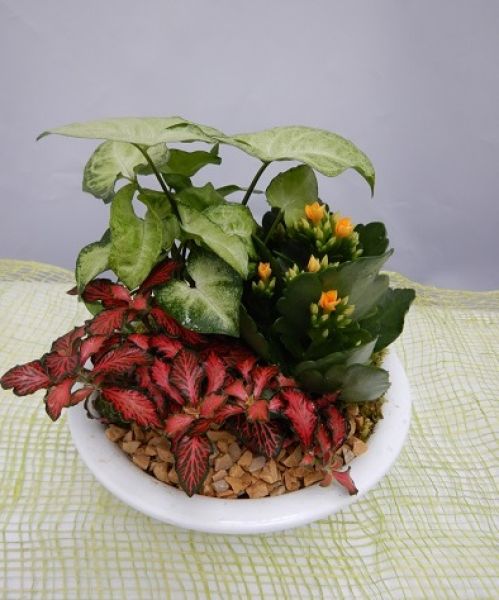 TERRINE TRADITION n°01