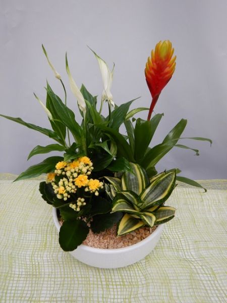 TERRINE TRADITION n°04