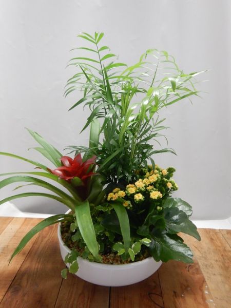 TERRINE TRADITION n°05