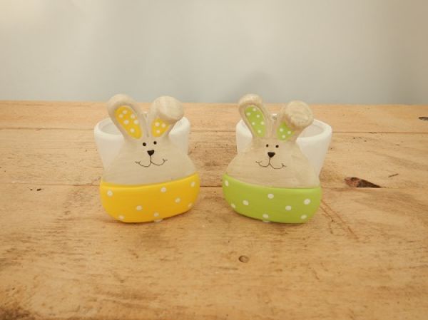 19QZQ1019-A2 CP LAPIN ASS