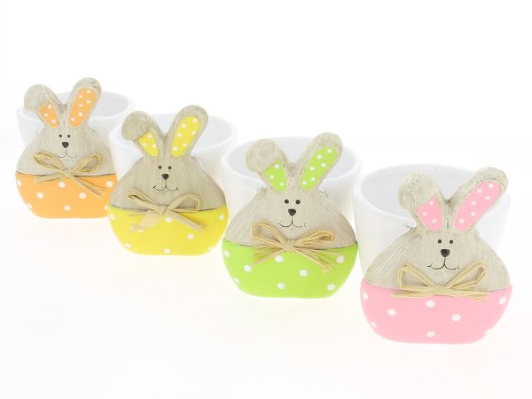 19QZQ1020-A4 CP LAPIN