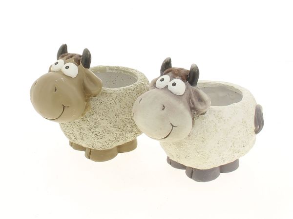 19QZQ1067-A2 CP VACHE ASS