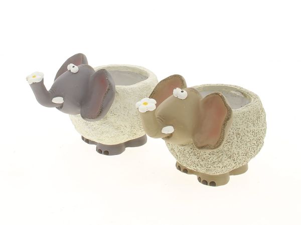 19QZQ1068-A2 CP ELEPHANT ASS