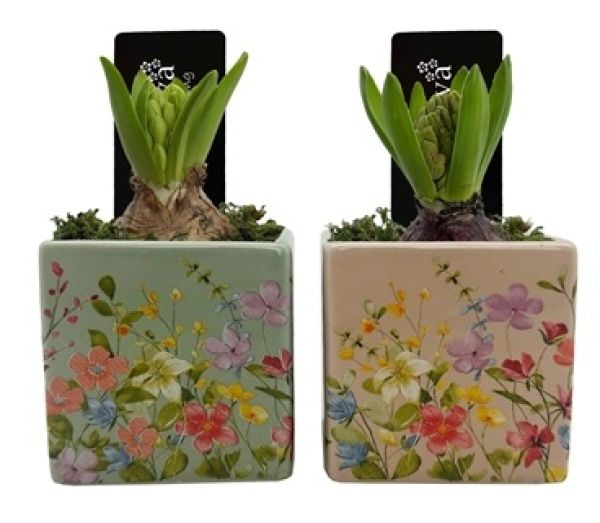 O-HYACINTHUS - CERAMIQUE PORT.1423