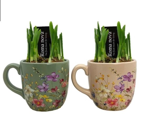 O-NARCISSUS FLORAL FINESSE MUG