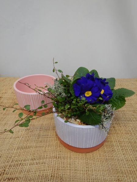 OFFRE EXT.JANVIER  001