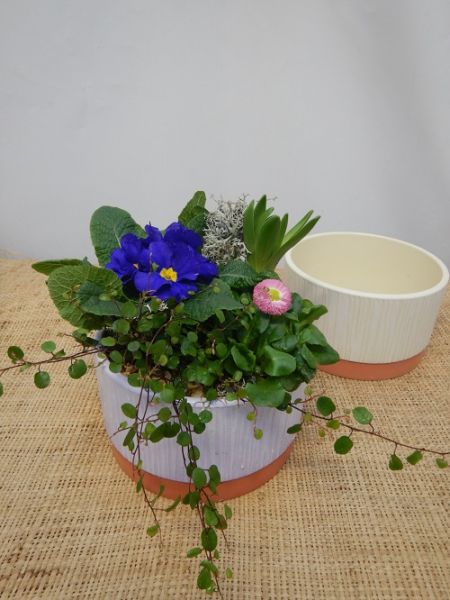 OFFRE EXT.JANVIER  002